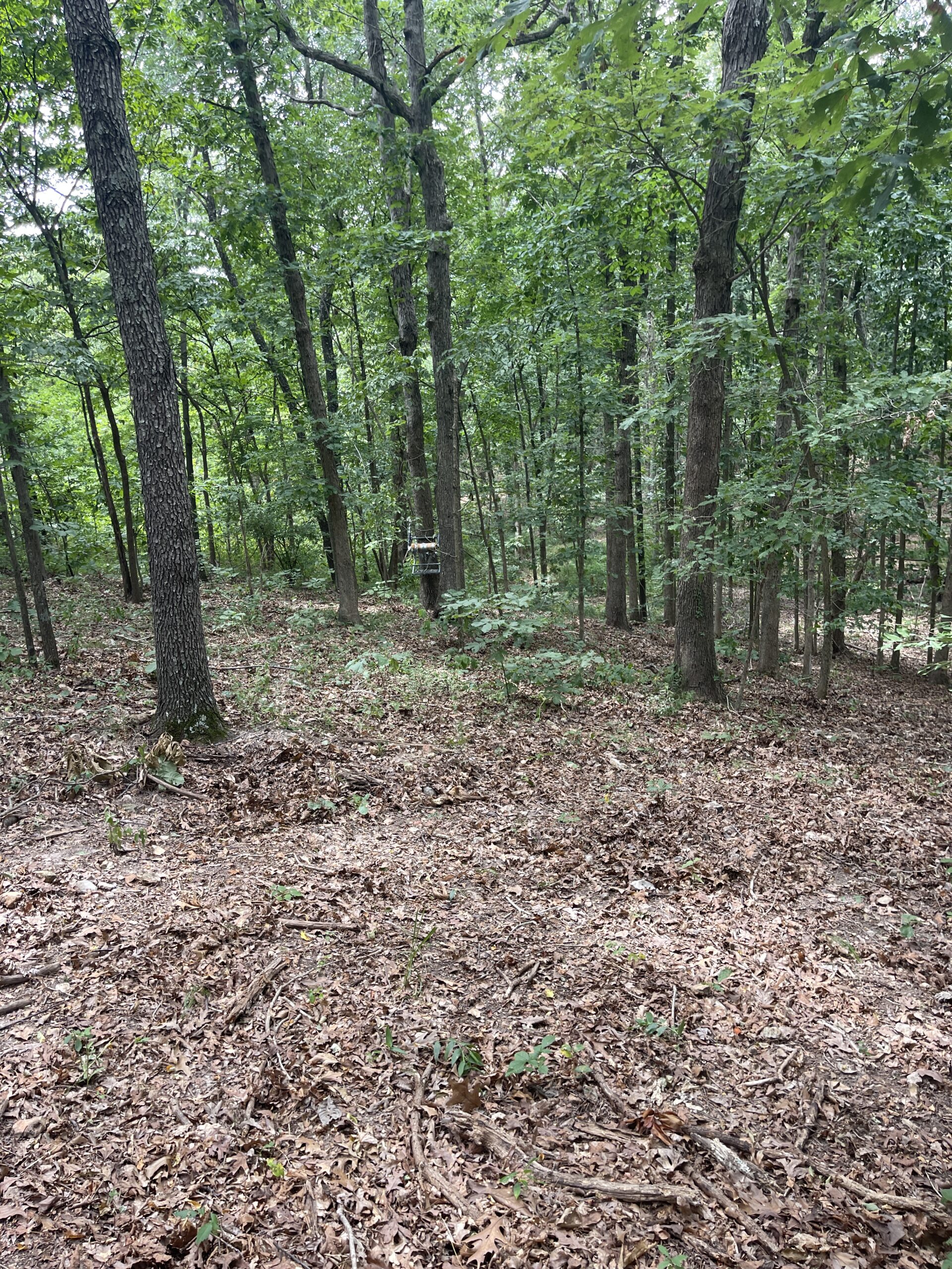 Real Estate Auction 8/21 Auction Chupp's Auction Company Inola, OK